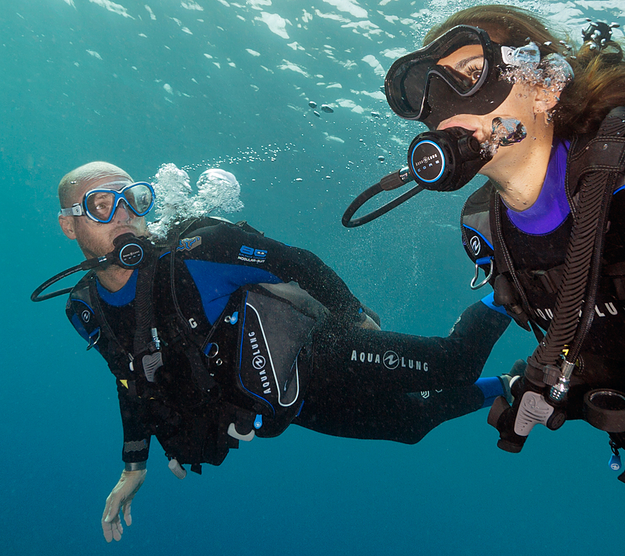 Reveal X2 Aqua Lung, Маска