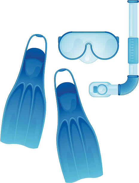 Плавание, снорклинг